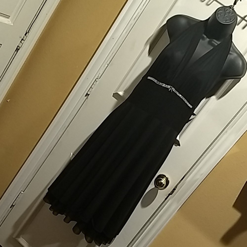 ❤FINALPRICE💖NEW Alyn Paige New York👗 dress sz(L)